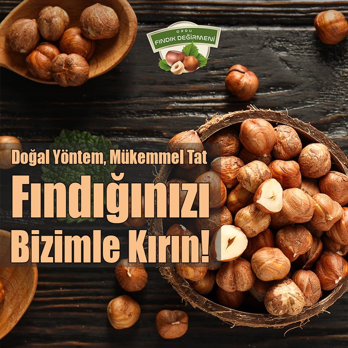 Kendi fındığınızdan yapılan katkısız fındık ezmesi